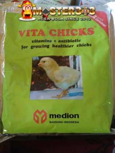 Vitamin Ayam Aduan Sabung Ayam Online